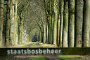BUITEN BEELD Foto: 149486