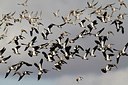 BUITEN BEELD Foto: 149517