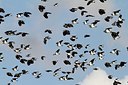 BUITEN BEELD Foto: 149523