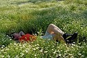 BUITEN BEELD Foto: 149533