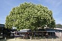 BUITEN BEELD Foto: 149577