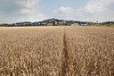 BUITEN BEELD Foto: 149584