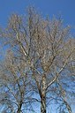 BUITEN BEELD Foto: 149787