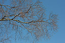 BUITEN BEELD Foto: 149799