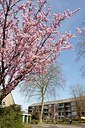 BUITEN BEELD Foto: 149852