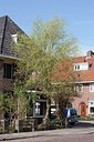 BUITEN BEELD Foto: 149853