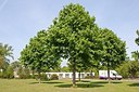 BUITEN BEELD Foto: 149911