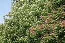 BUITEN BEELD Foto: 149919