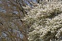 BUITEN BEELD Foto: 149951