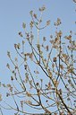 BUITEN BEELD Foto: 149974