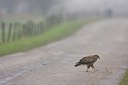 BUITEN BEELD Foto: 149991