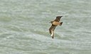 BUITEN BEELD Foto: 150002