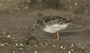 BUITEN BEELD Foto: 150006