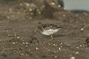 BUITEN BEELD Foto: 150007