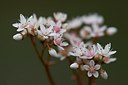 BUITEN BEELD Foto: 150043