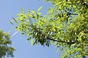 BUITEN BEELD Foto: 150046