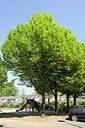 BUITEN BEELD Foto: 150062