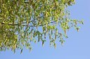 BUITEN BEELD Foto: 150095