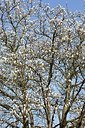 BUITEN BEELD Foto: 150116