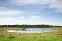 BUITEN BEELD Foto: 150208