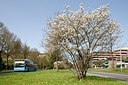 BUITEN BEELD Foto: 150276