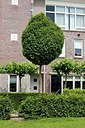 BUITEN BEELD Foto: 150348