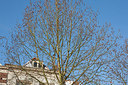 BUITEN BEELD Foto: 150408