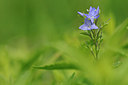 BUITEN BEELD Foto: 150431