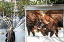 BUITEN BEELD Foto: 150451
