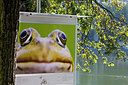 BUITEN BEELD Foto: 150454