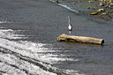 BUITEN BEELD Foto: 150628