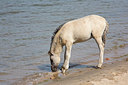 BUITEN BEELD Foto: 150770
