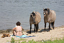 BUITEN BEELD Foto: 150773