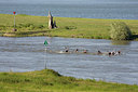 BUITEN BEELD Foto: 150777