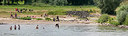 BUITEN BEELD Foto: 150788