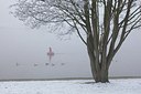 BUITEN BEELD Foto: 150836