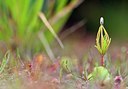 BUITEN BEELD Foto: 150865
