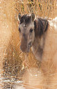 BUITEN BEELD Foto: 150957