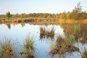 BUITEN BEELD Foto: 150974
