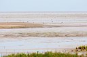 BUITEN BEELD Foto: 151215