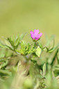 BUITEN BEELD Foto: 151361