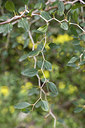 BUITEN BEELD Foto: 151426