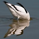 BUITEN BEELD Foto: 151432