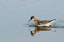BUITEN BEELD Foto: 151676