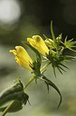 BUITEN BEELD Foto: 151682