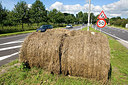 BUITEN BEELD Foto: 151786