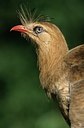 BUITEN BEELD Foto: 152040