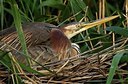 BUITEN BEELD Foto: 152070