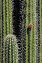 BUITEN BEELD Foto: 152086