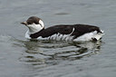 BUITEN BEELD Foto: 152181